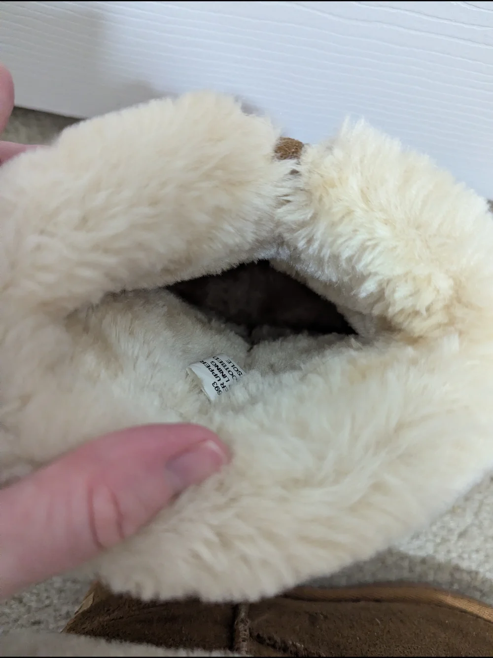 Kids Cozy Shearling-Lined Suede Booties - Brown